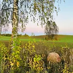 Park Wilkasy