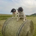 Park Wilkasy Сasa de vacaciones Gołdap