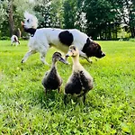 Park Wilkasy * Gołdap