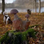 Park Wilkasy Gołdap