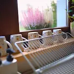 Park Wilkasy * Gołdap