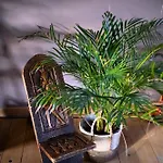 Park Wilkasy Gołdap