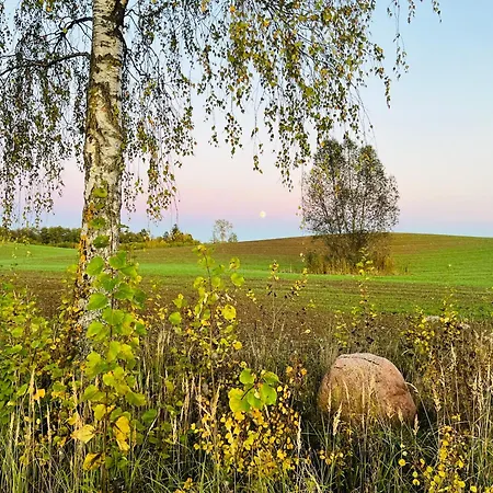 Park Wilkasy