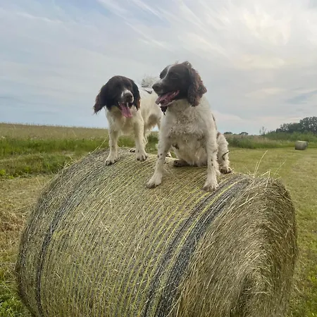 Park Wilkasy בית נופש Gołdap