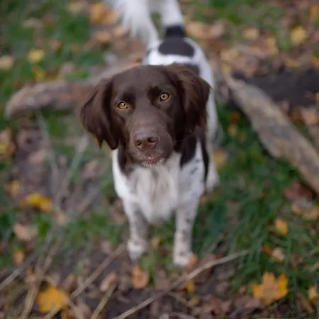 Park Wilkasy Gołdap