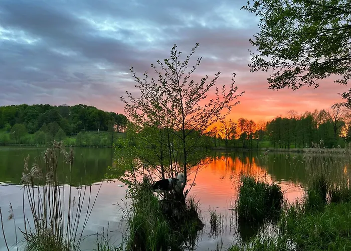 Park Wilkasy Holiday home Goldap