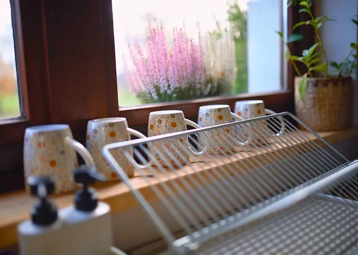 Park Wilkasy * Goldap